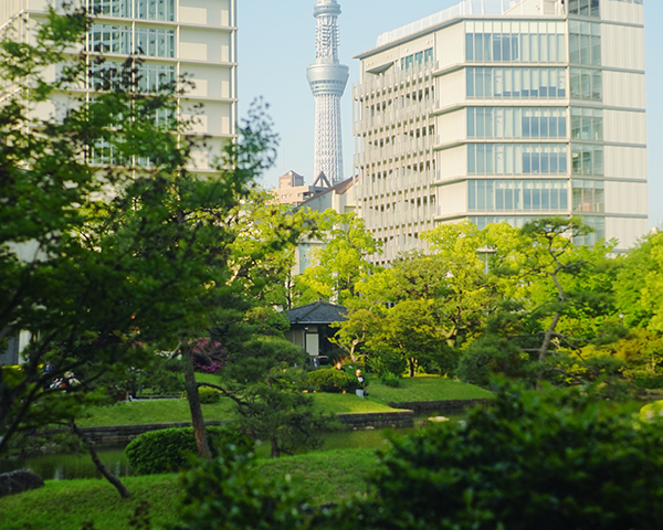 Lecture on how to enjoy the garden at Former Yasuda Garden.